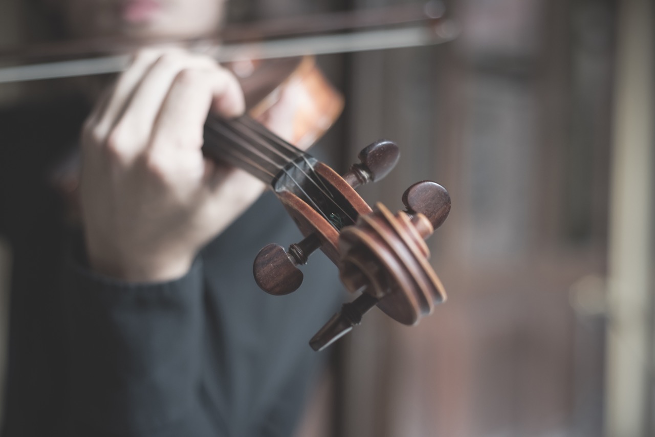 The Ultimate Guide to Testing Violin Bows Tips and Tricks MyLuthier Blog